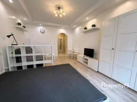 Pronájem bytu, 1+kk, 25 m²