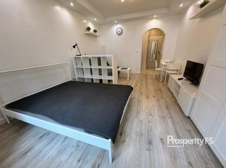 Pronájem bytu, 1+kk, 25 m²