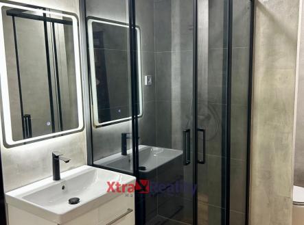 Prodej bytu, 1+1, 41 m²