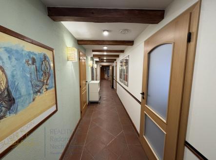 Pronájem - kanceláře, 25 m²