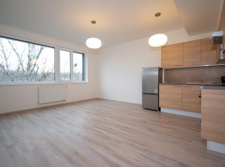 Pronájem bytu, 2+kk, 43 m²