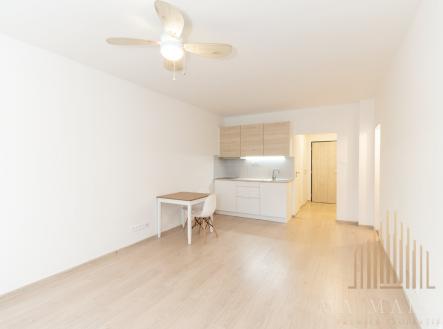 Pronájem bytu, 1+kk, 29 m²