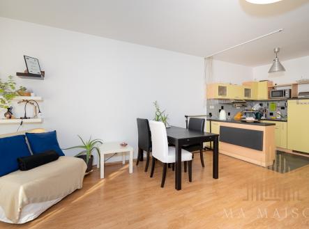 Pronájem bytu, 1+kk, 47 m²