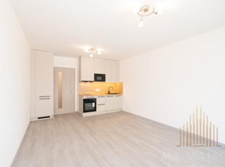 Pronájem bytu, 1+kk, 34 m²