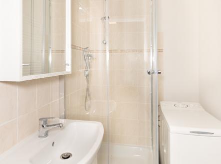 Pronájem bytu, 1+1, 38 m²