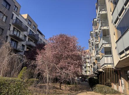 Pronájem bytu, 2+kk, 54 m²