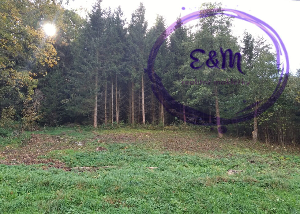 Prodej pozemku v Červené Vodě v Orlických horách