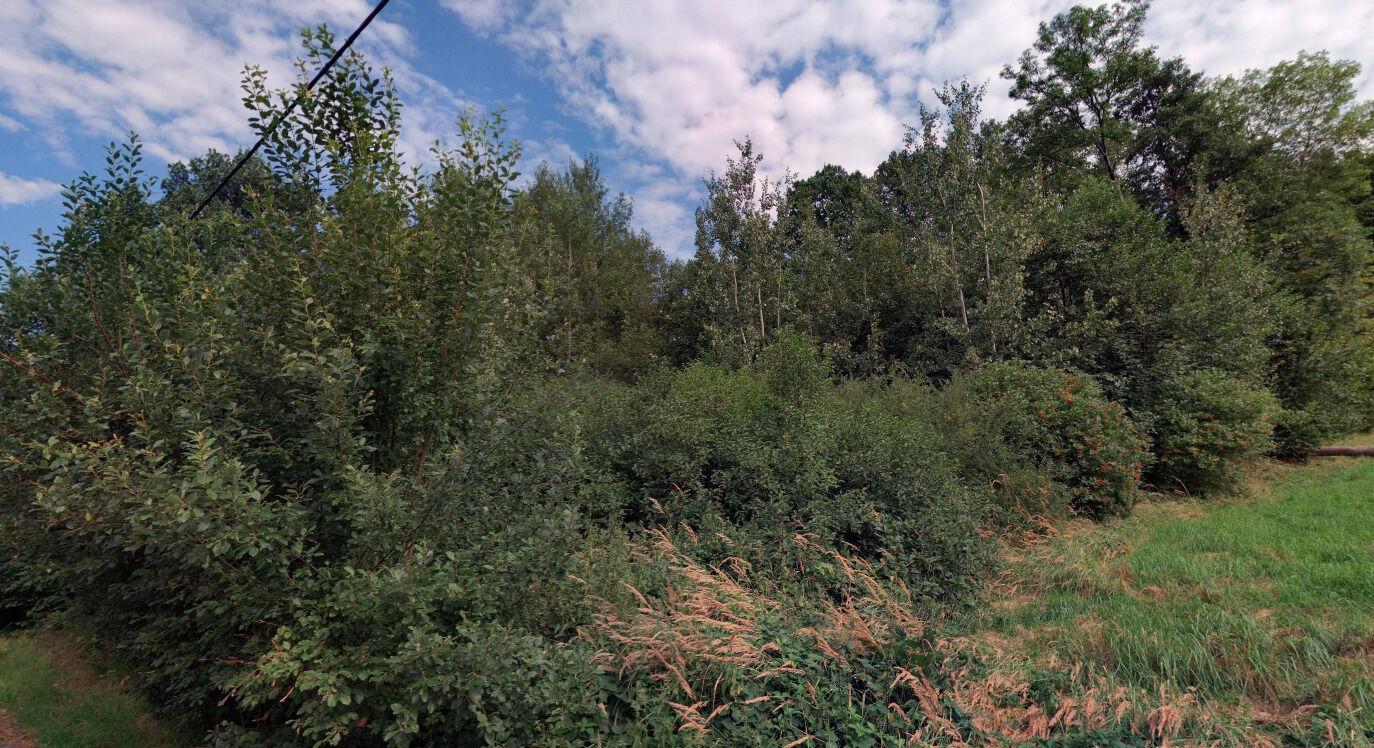 Prodej pozemku ve Vápenné