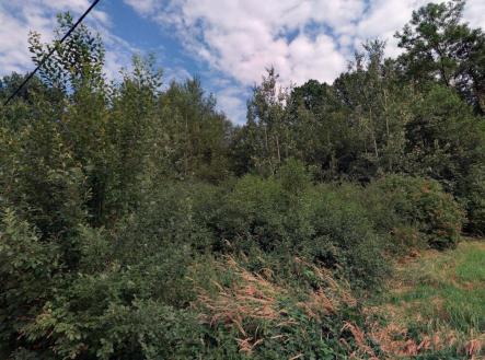 Prodej pozemku, trvalý travní porost, 2 625 m²