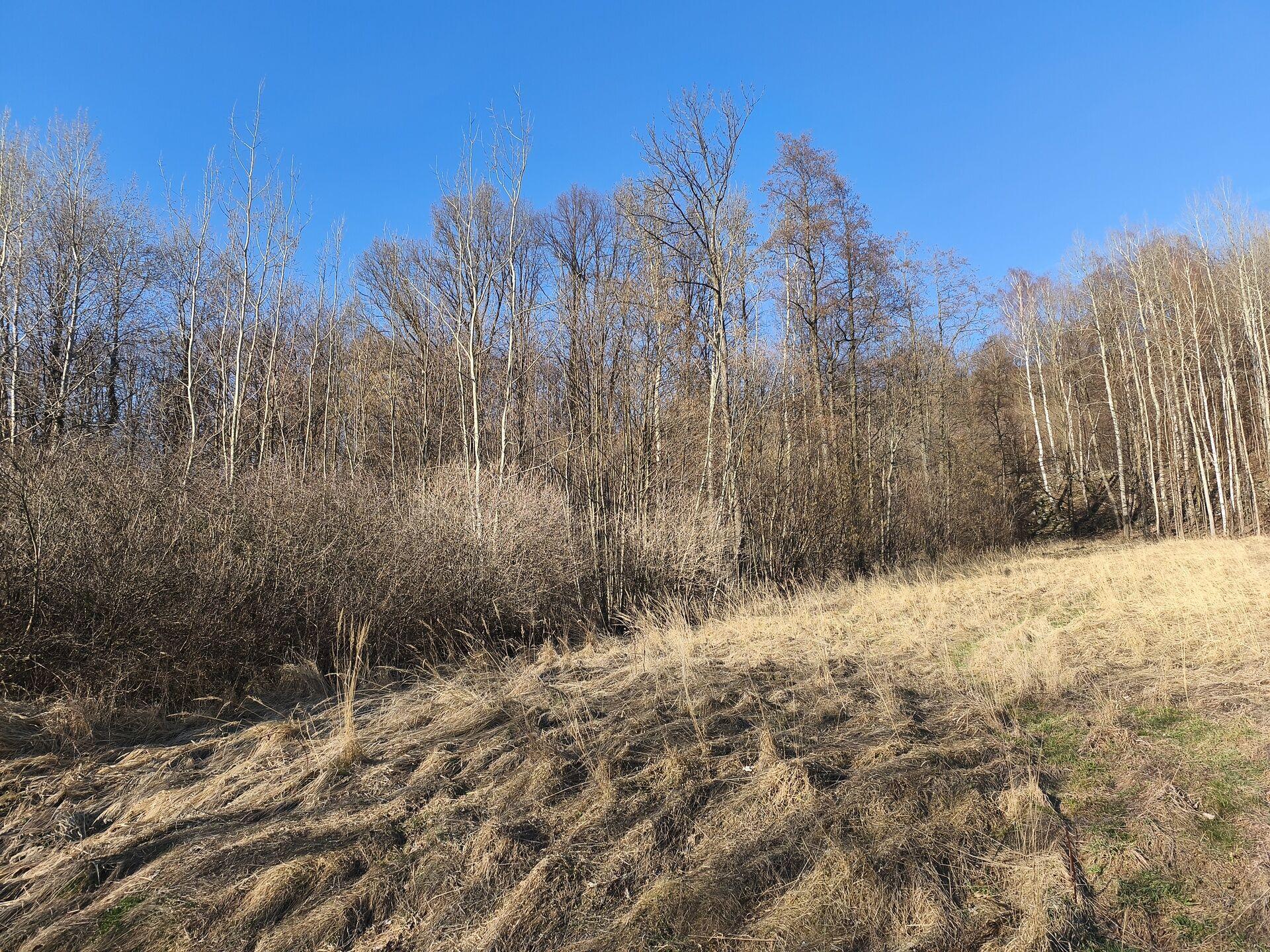 Prodej pozemku ve Vápenné