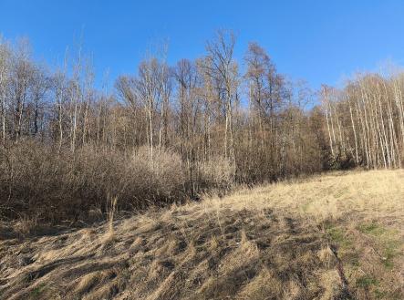 Prodej pozemku, trvalý travní porost, 2 625 m²