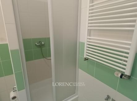 Pronájem bytu, 1+kk, 37 m²