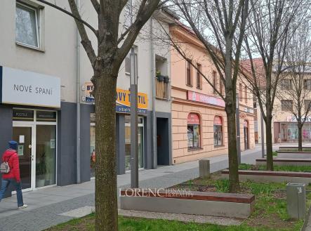 Pronájem obchodní prostor, 116 m²