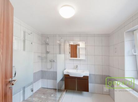 Prodej - nájemní dům, 237 m²