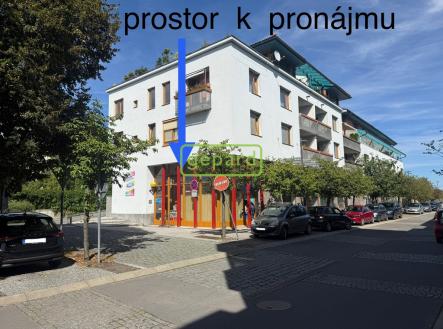 Pronájem obchodní prostor, 40 m² obrázek
