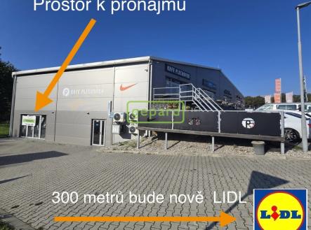 Pronájem obchodní prostor, 250 m²