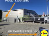 Pronájem obchodní prostor, 250 m²