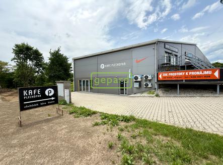 Pronájem obchodní prostor, 250 m²