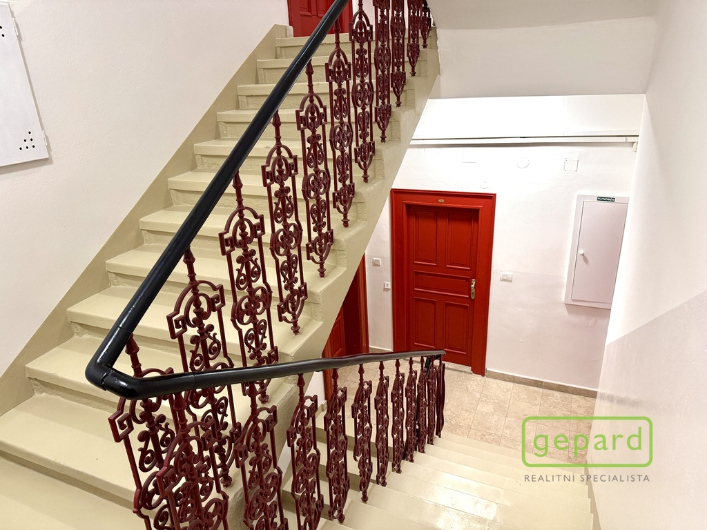 Fotku se nepodařilo načíst.