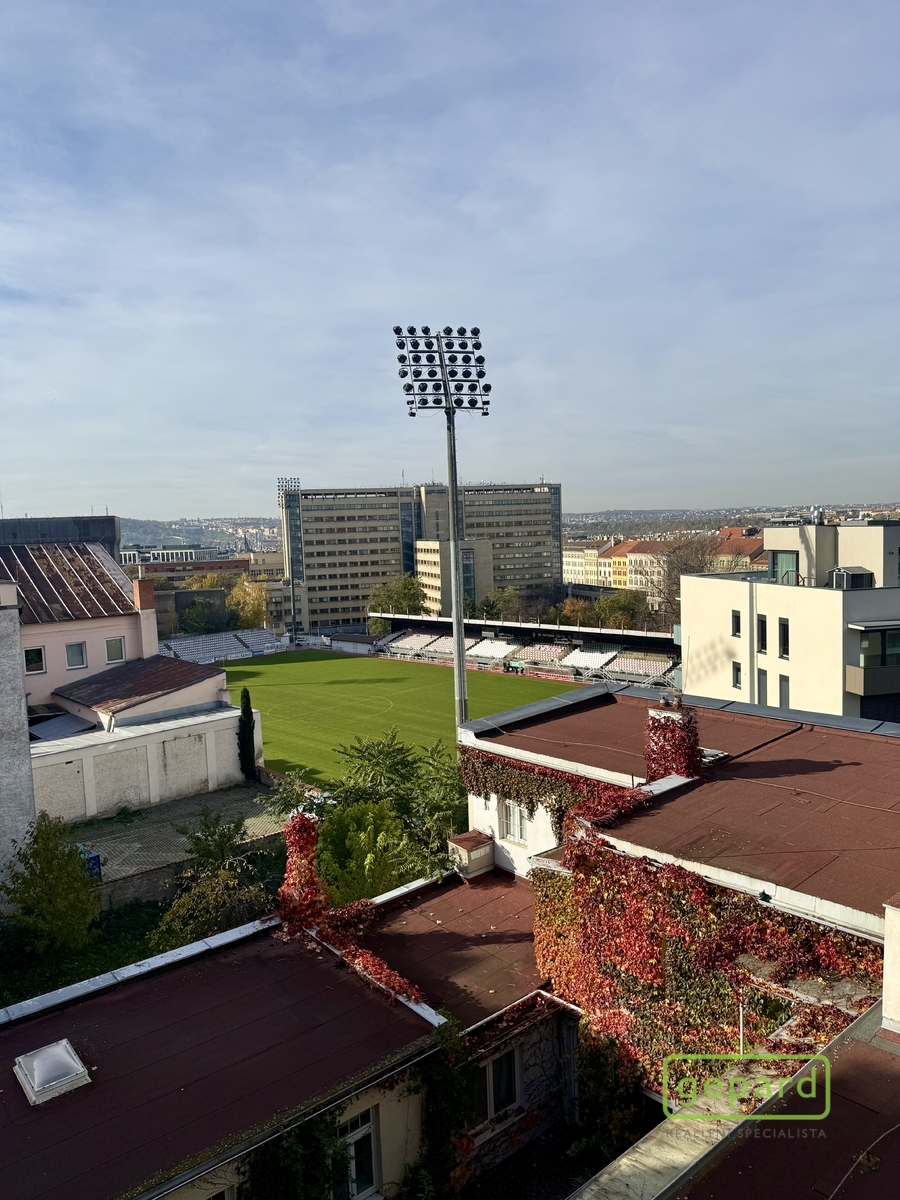 Fotku se nepodařilo načíst.