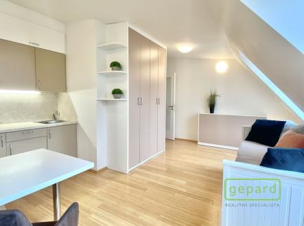 Pronájem bytu, 1+kk, 30 m²