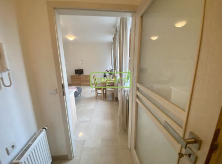 Pronájem bytu, 1+kk, 34 m²