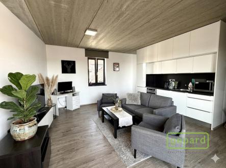 Pronájem bytu, 2+kk, 102 m²