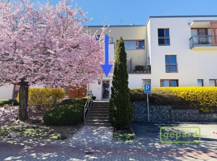 Pronájem bytu, 3+kk, 96 m² obrázek