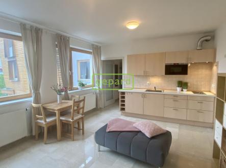 Pronájem bytu, 1+kk, 34 m²