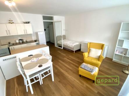 Pronájem bytu, 1+kk, 35 m²