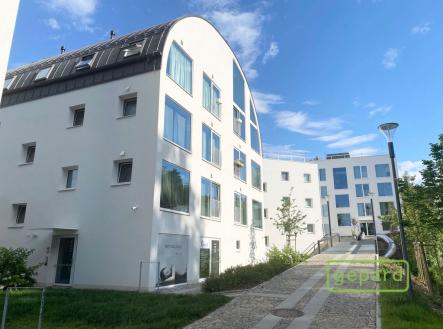 Pronájem bytu, 1+kk, 35 m²