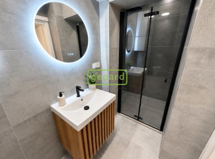 Pronájem bytu, 2+kk, 66 m²
