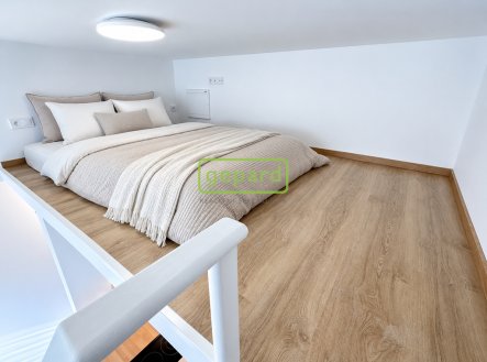 Pronájem bytu, 1+kk, 24 m²