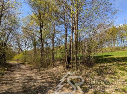 Prodej pozemku, ostatní, 165 m²