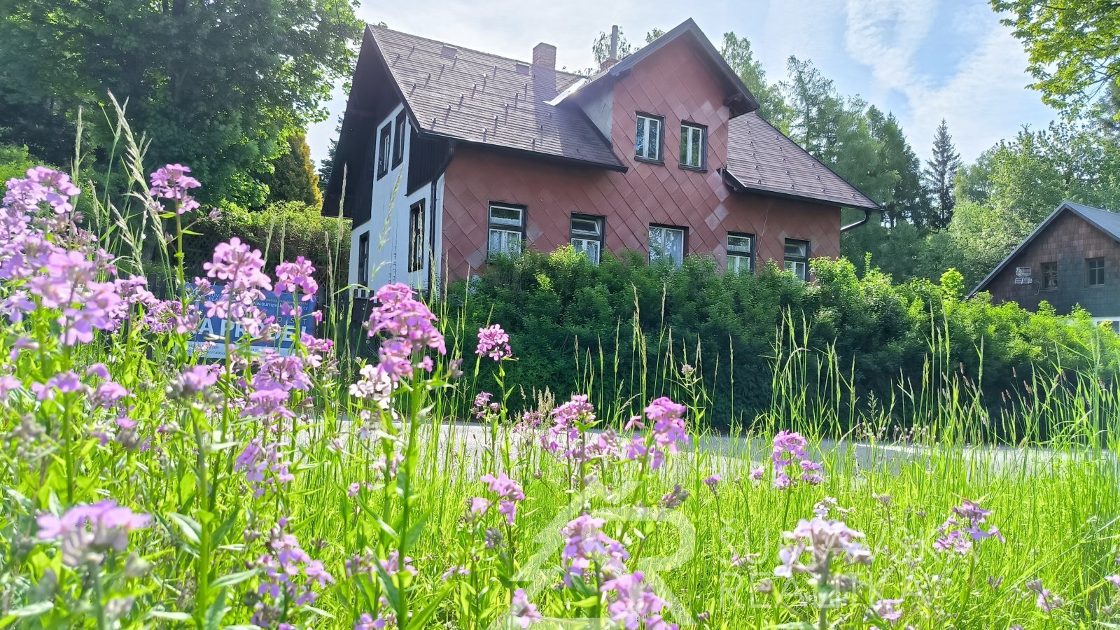 foto: 1