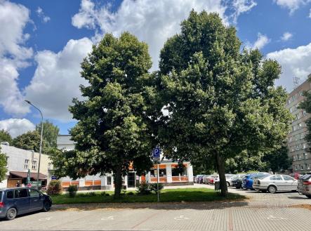 foto: 25