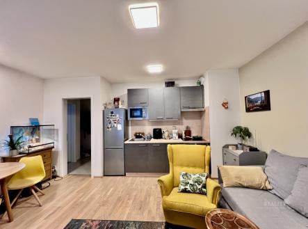 Pronájem bytu, 2+kk, 48 m²