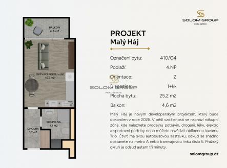 Prodej bytu, 1+kk, 30 m²