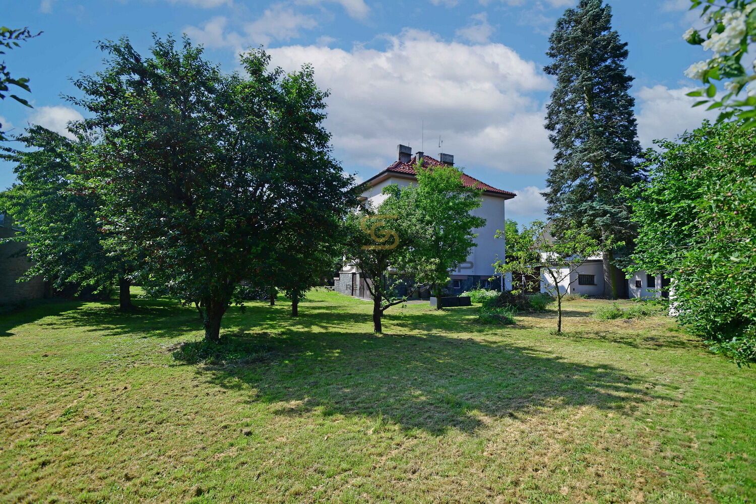 Fotku se nepodařilo načíst.