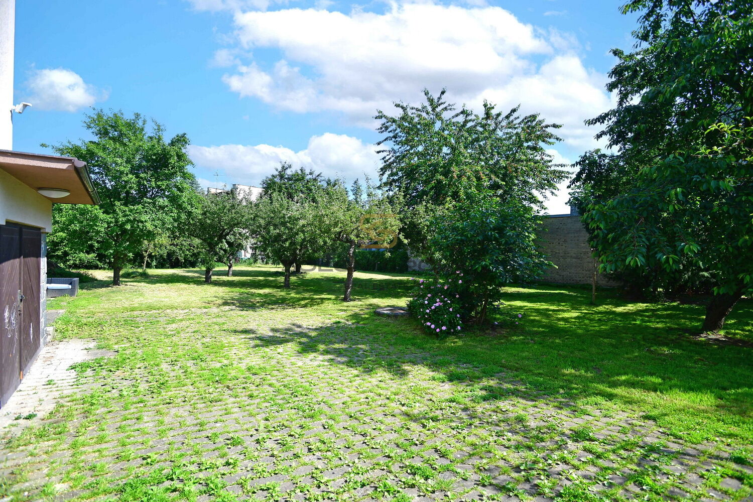 Fotku se nepodařilo načíst.