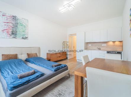 Prodej bytu, 1+kk, 30 m²