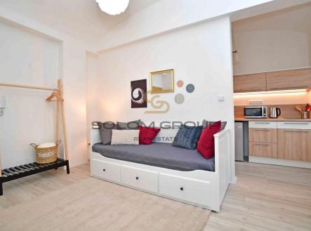 Pronájem bytu, 1+kk, 25 m²