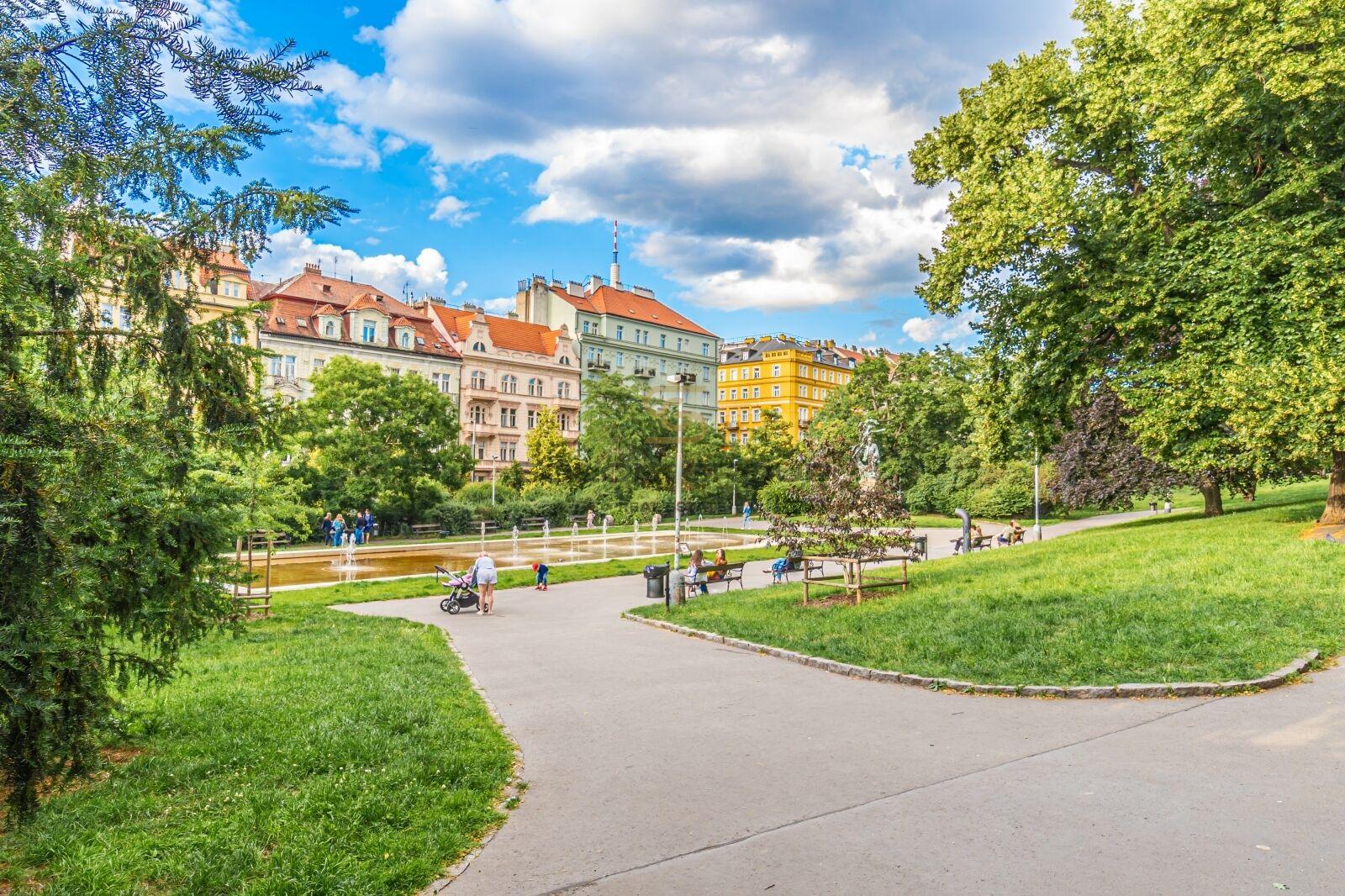 Fotku se nepodařilo načíst.