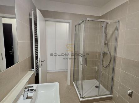 Pronájem bytu, 1+kk, 37 m²