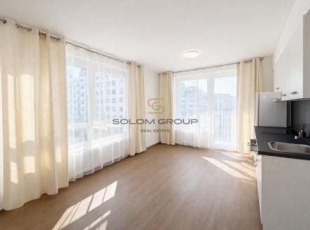 Pronájem bytu, 1+kk, 37 m²