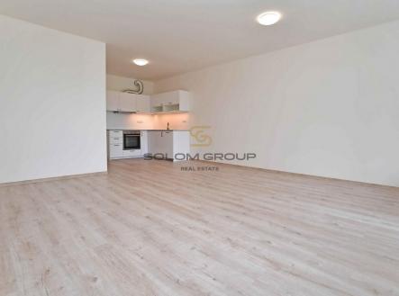 Pronájem bytu, 1+kk, 51 m²