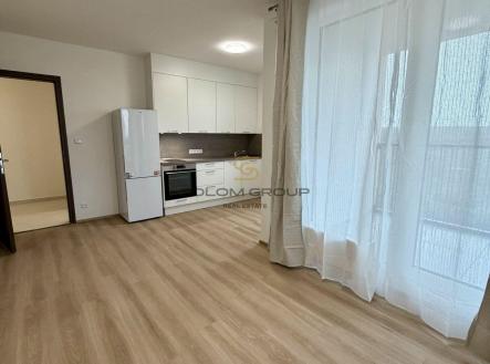 Pronájem bytu, 1+kk, 40 m²