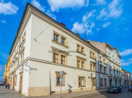 Orchid Casel de Paradise.