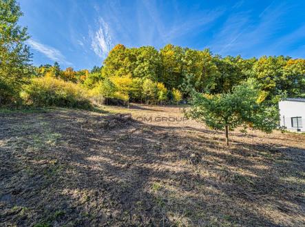 Prodej pozemku pro bydlení, 1 364 m²