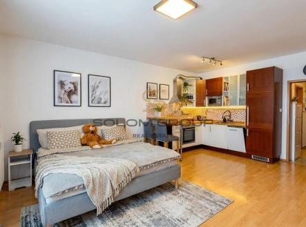 Pronájem bytu, 1+kk, 36 m²